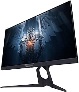 AORUS FI25F