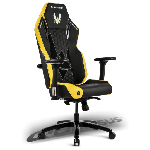 V500 Vitality