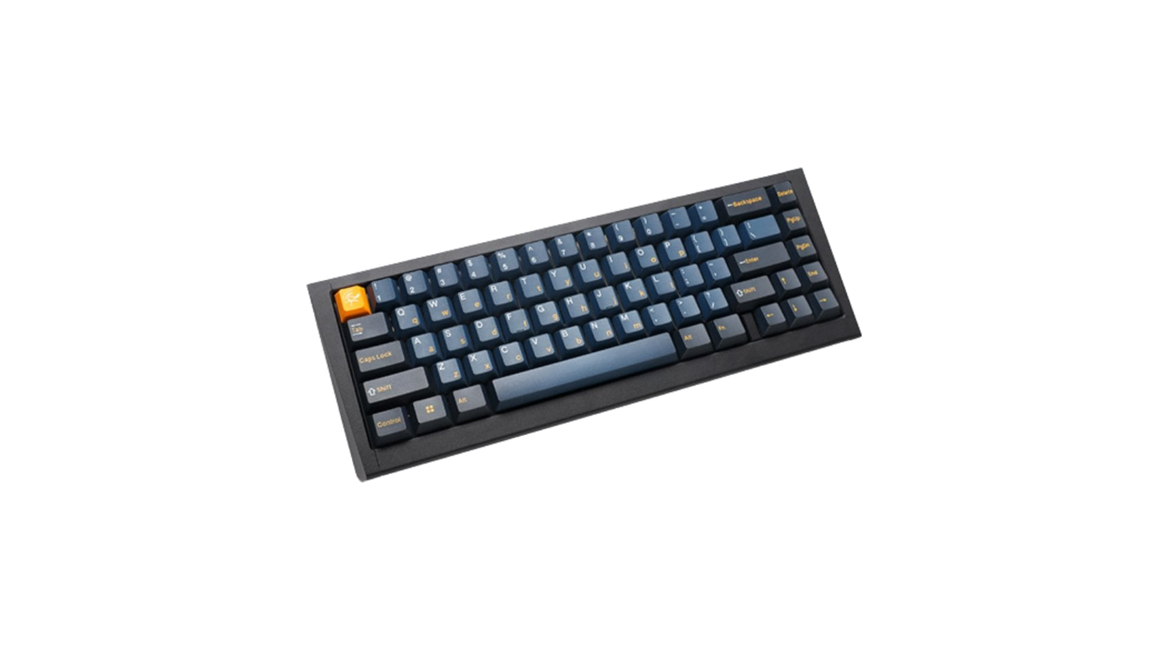 ProjectD 65 Outlaw