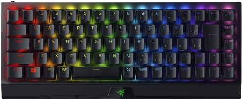 BlackWidow V3 Mini